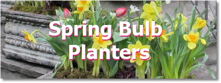 Toronto garden planters; spring bulb planters