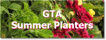 Toronto garden planters; summer planters
